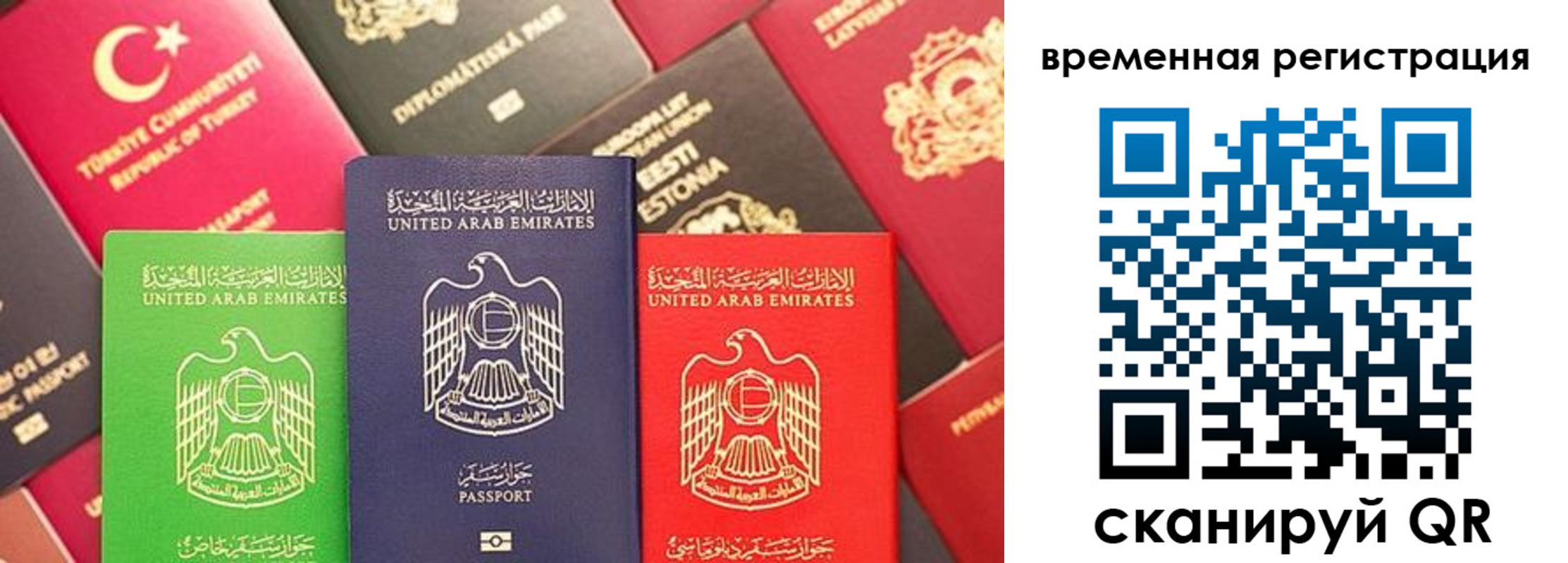 временная регистрация гарантия в Дрезне
